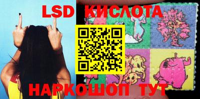 прущие крисы Аргун