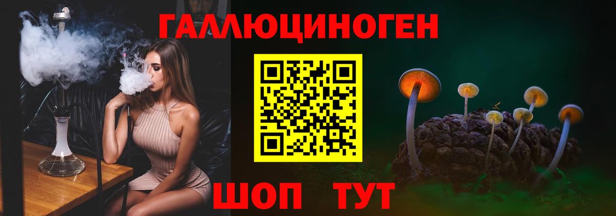 Псилоцибиновые грибы мухоморы  Вход с VPN  наркотики  Волгодонск  Псилоцибиновые грибы GOLDEN TEACHER 